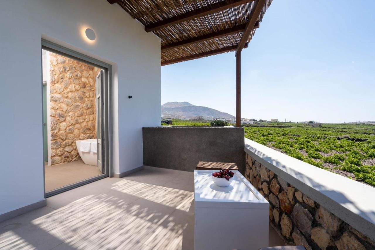 New Villa Katerina Collection Megalochori  Exteriér fotografie
